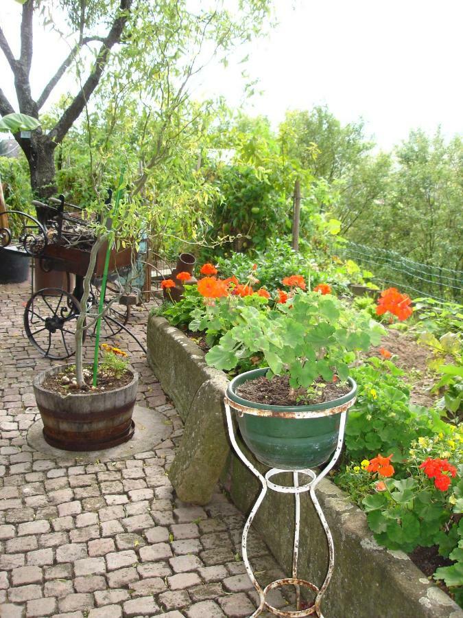 Le Sonnenglanz Apartment Beblenheim Luaran gambar